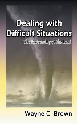 Dealing with Difficult Situations: The Processing of the Lord (Paperback)