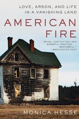 Cover of the book American Fire