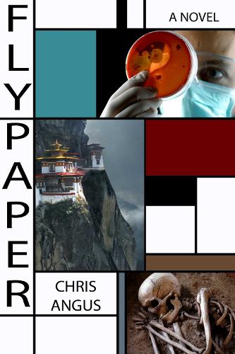 Flypaper: A Novel (Paperback)