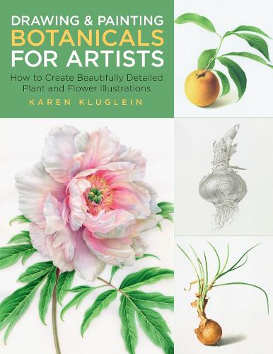 Drawing and Painting Botanicals for Artists: Volume 4: How to Create Beautifully Detailed Plant and Flower Illustrations - For Artists (Paperback)
