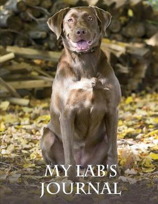 My Lab's Journal: Building Memories One Day at a Time (Paperback)