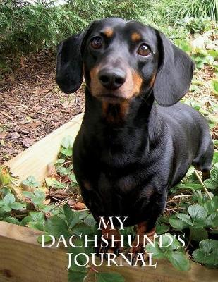 My Dachshund's Journal: Building Memories One Day at a Time (Paperback)