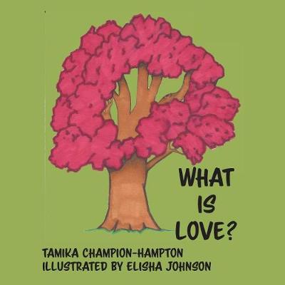 What Is Love? - Kamden Faith Journey 3 (Paperback)