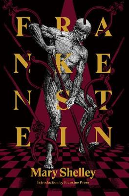 Frankenstein: Or, The Modern Prometheus (Paperback)