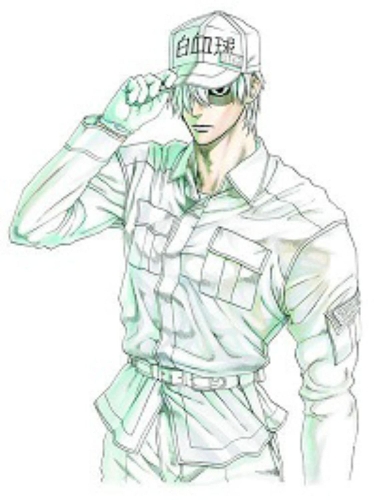 Cells At Work! 6 (Paperback)