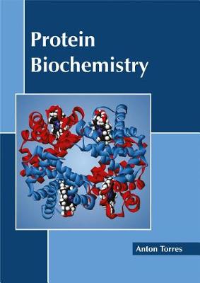 Protein Biochemistry (Hardback)
