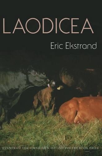 Laodicea (Paperback)