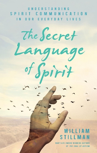 The Secret Language of Spirit: Understanding Spirit Communication in Our Everyday Lives (Paperback)