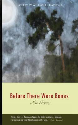 Before There Were Bones (Paperback)