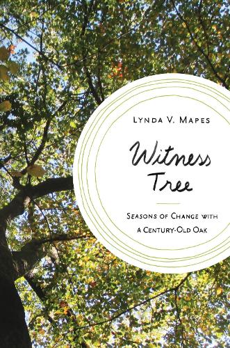 Witness Tree: Seasons of Change with a Century-Old Oak (Hardback)