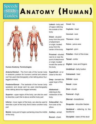 Anatomy (Human) (Speedy Study Guide) (Paperback)