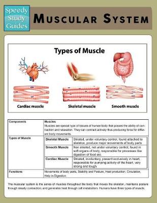 Muscular System (Speedy Study Guide) (Paperback)