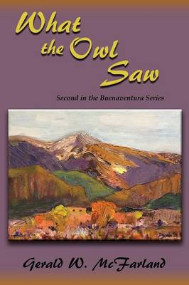 What the Owl Saw (Paperback)