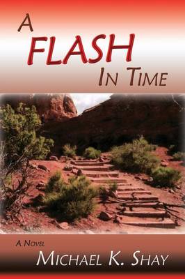 A Flash in Time (Paperback)