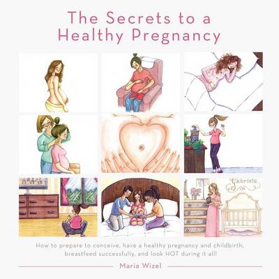 The Secrets to a Healthy Pregnancy (Paperback)