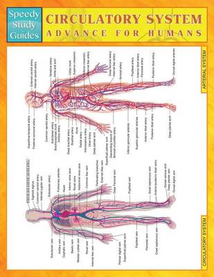 Circulatory System Advanced for Humans (Speedy Study Guides) (Paperback)
