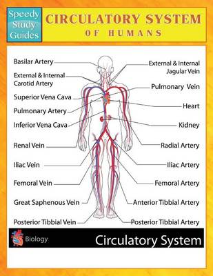 Circulatory System of Humans (Speedy Study Guides) (Paperback)