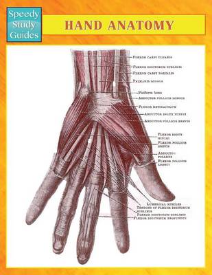 Hand Anatomy (Speedy Study Guides) (Paperback)