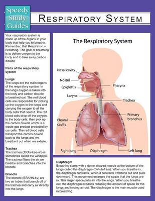 Respiratory System (Speedy Study Guide) (Paperback)