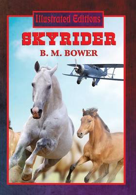 Skyrider (Paperback)