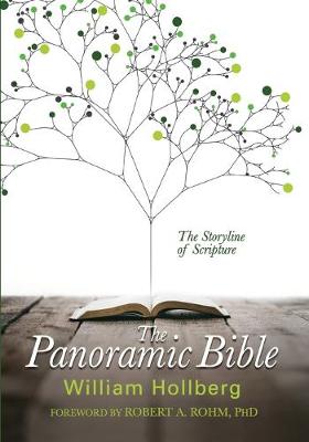 The Panoramic Bible: The Storyline of Scripture (Paperback)