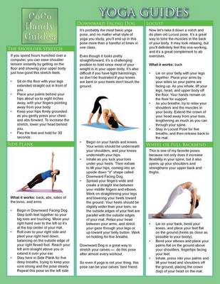 Yoga Guides: Yoga Tips and Techniques (Paperback)