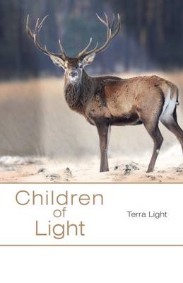 Children of Light (Paperback)