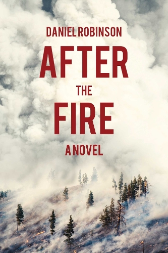 After the Fire: A Novel (Paperback)