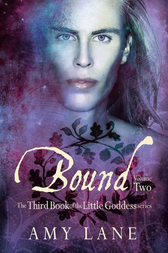 Bound, Vol. 2 (Paperback)