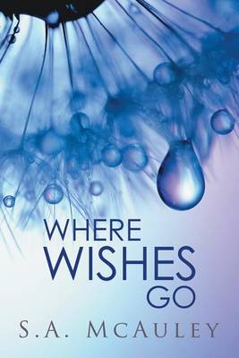 Where Wishes Go (Paperback)