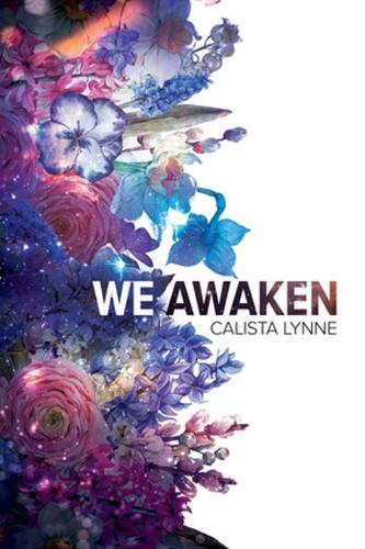 We Awaken (Paperback)