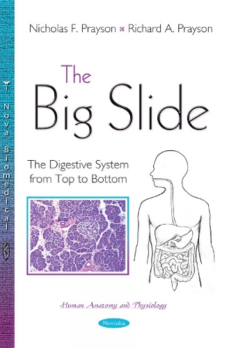 The Big Slide: The Digestive System from Top to Bottom (Paperback)