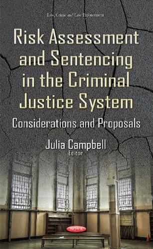 Risk Assessment & Sentencing in the Criminal Justice System: Considerations & Proposals (Hardback)
