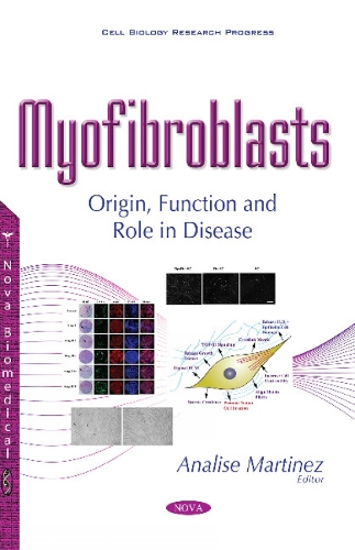 Myofibroblasts: Origin, Function & Role in Disease (Paperback)