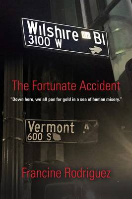 The Fortunate Accident (Paperback)