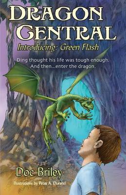 Dragon Central: Introducing Green Flash (Paperback)