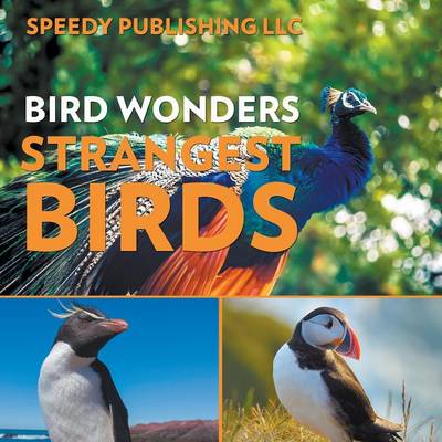 Bird Wonders - Strangest Birds (Paperback)