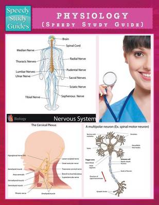 Physiology (Speedy Study Guide) (Paperback)