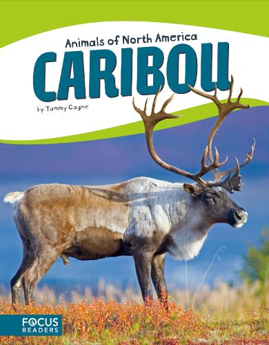Animals of North America: Caribou (Hardback)