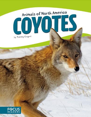 Animals of North America: Coyotes (Hardback)