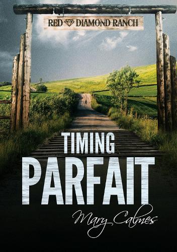 Timing Parfait - Dans Les Temps (Paperback)