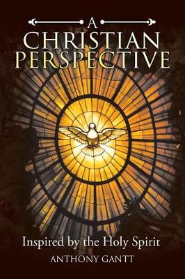 A Christian Perspective: Inspired by the Holy Spirit (Paperback)