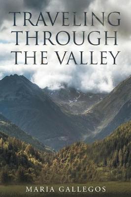 Traveling Through the Valley (Paperback)