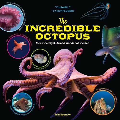 The Incredible Octopus: Meet the Eight-Armed Wonder of the Sea (Hardback)