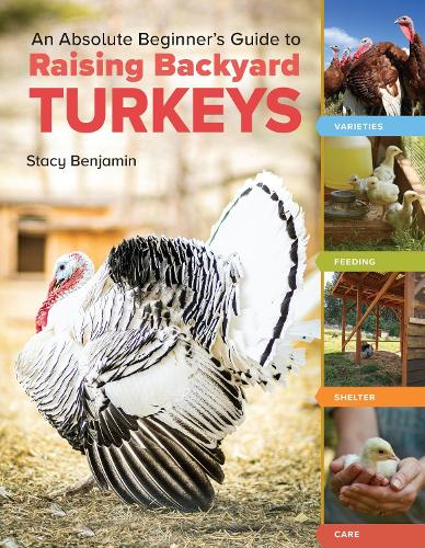 An Absolute Beginner's Guide to Raising Backyard Turkeys: Varieties, Feeding, Shelter, Care (Paperback)