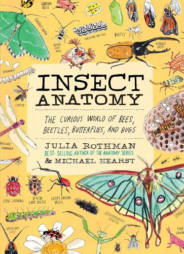 Julia Rothman Insect Anatomy