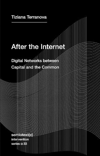 After the Internet: Digital Networks between the Capital and the Common - Semiotext(e) / Intervention Series (#33) (Paperback)