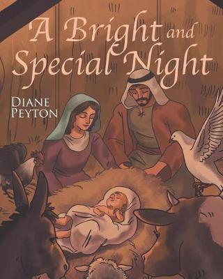 A Bright and Special Night (Paperback)