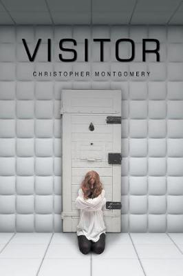 Visitor (Paperback)