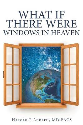 What If There Were Windows in Heaven (Paperback)